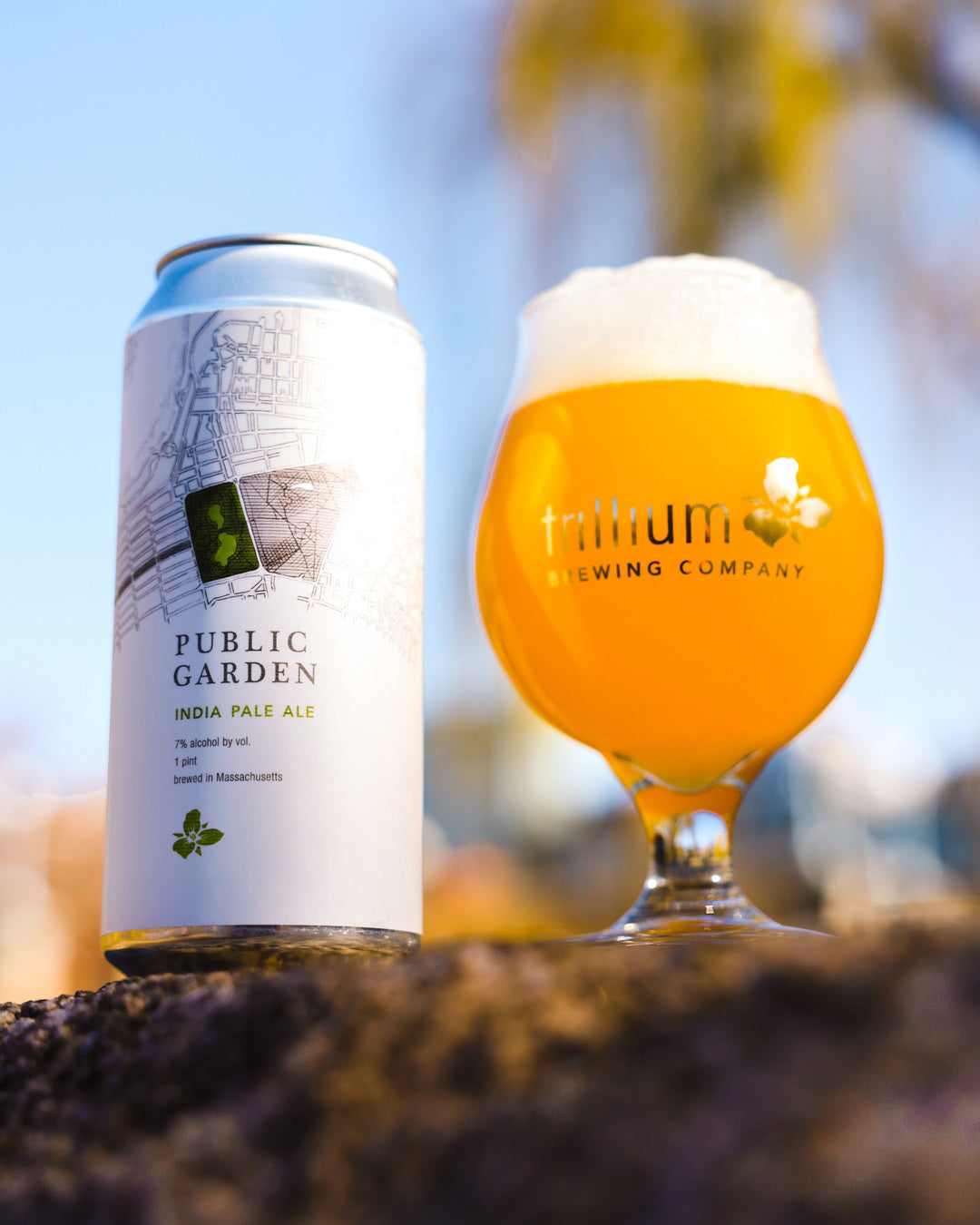 Public Garden IPA 4pk Cans