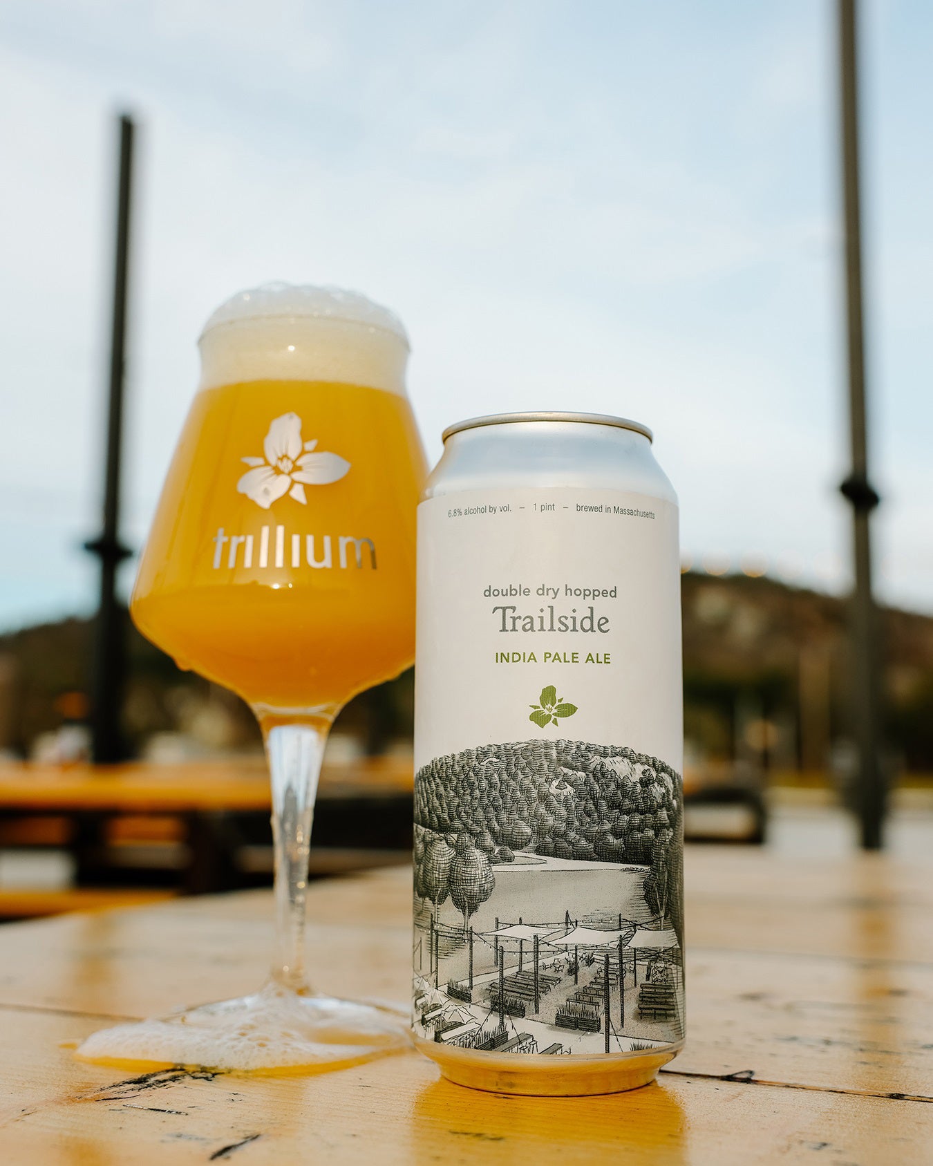 DDH Trailside IPA 4pk Cans