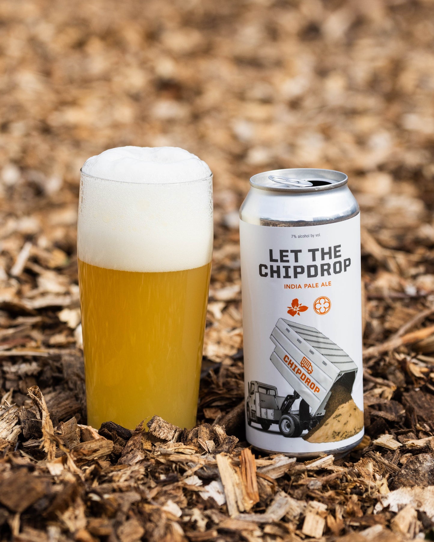 Let the Chip Drop 4pk Cans