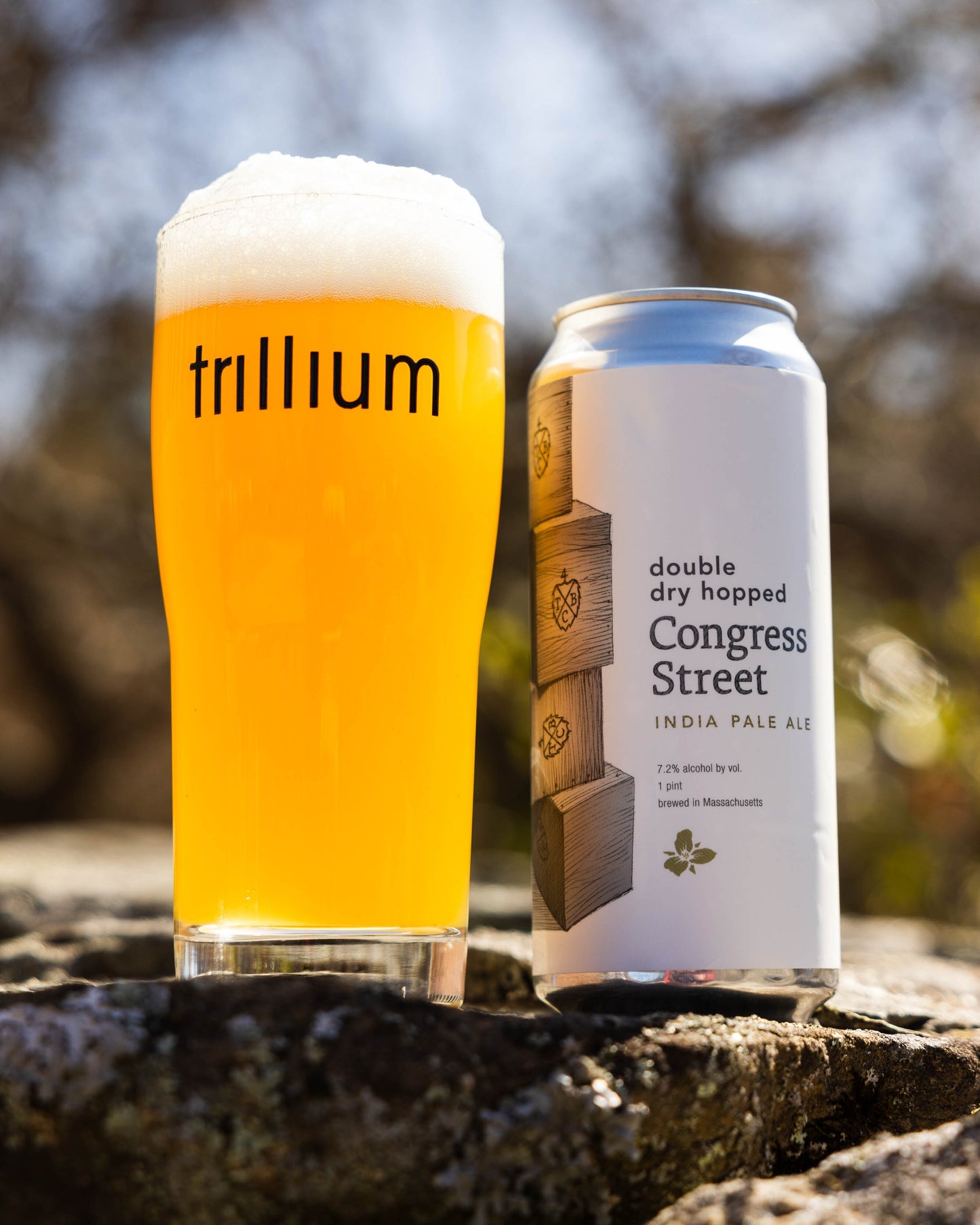 DDH Congress Street IPA 4pk Cans