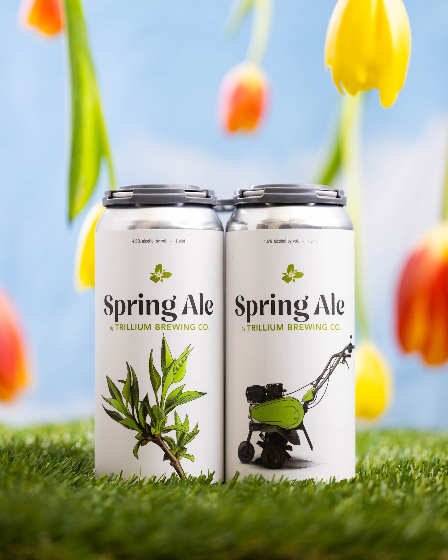 Spring Ale 4pk Cans