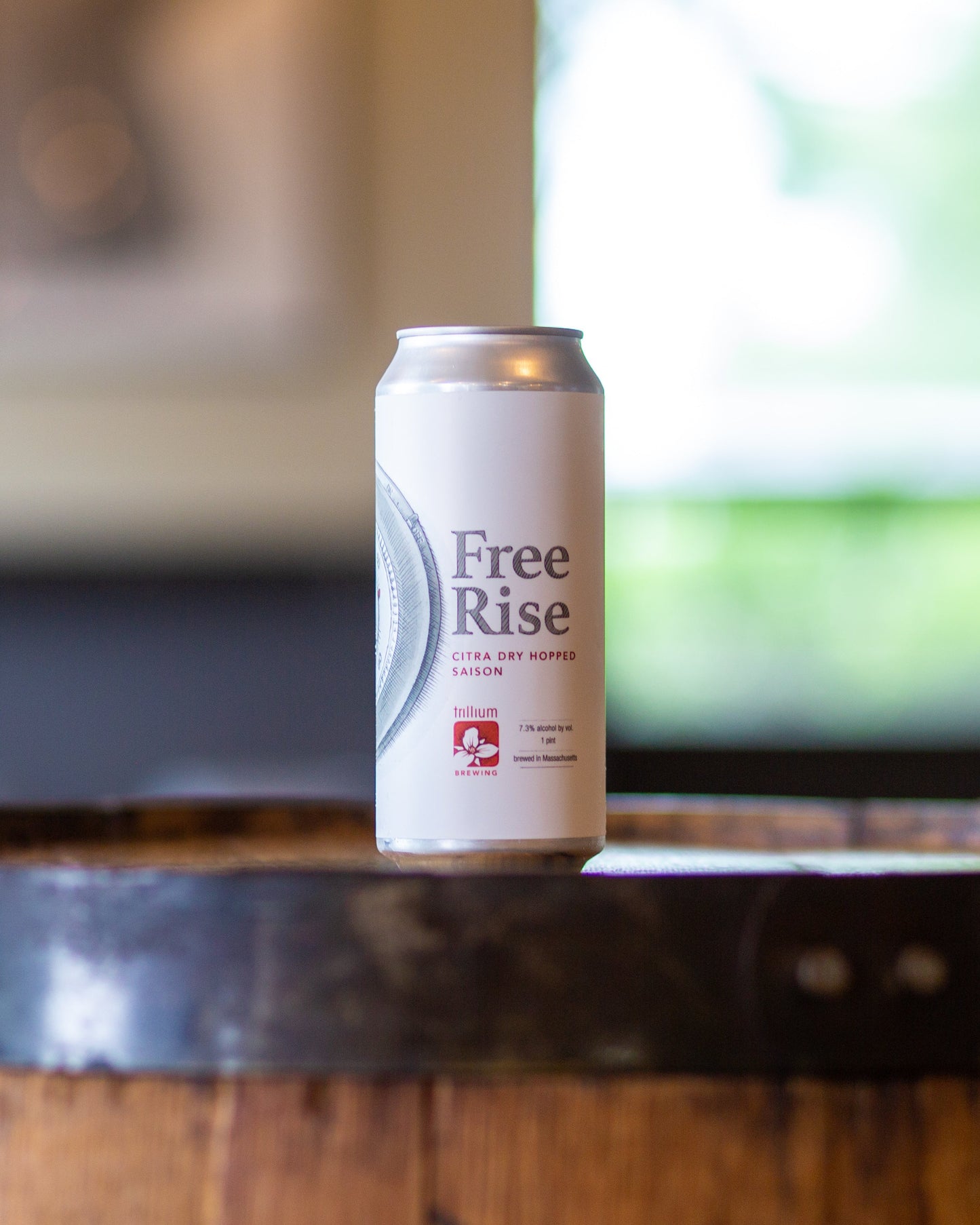 Citra Free Rise 4pk Cans