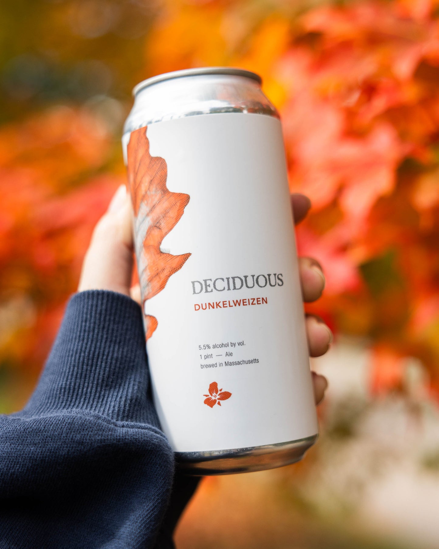 Deciduous: Dunkelweizen 4pk Cans