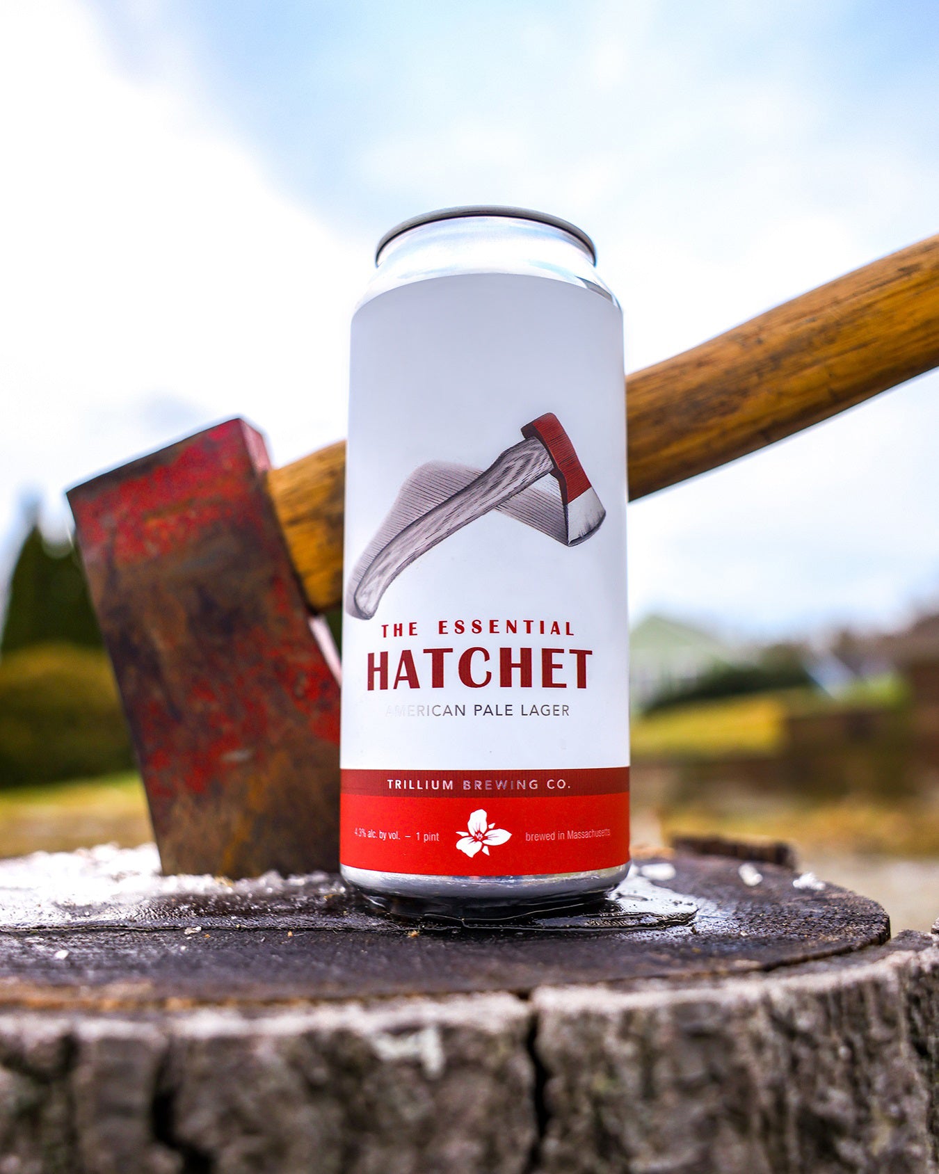 The Essential: Hatchet
