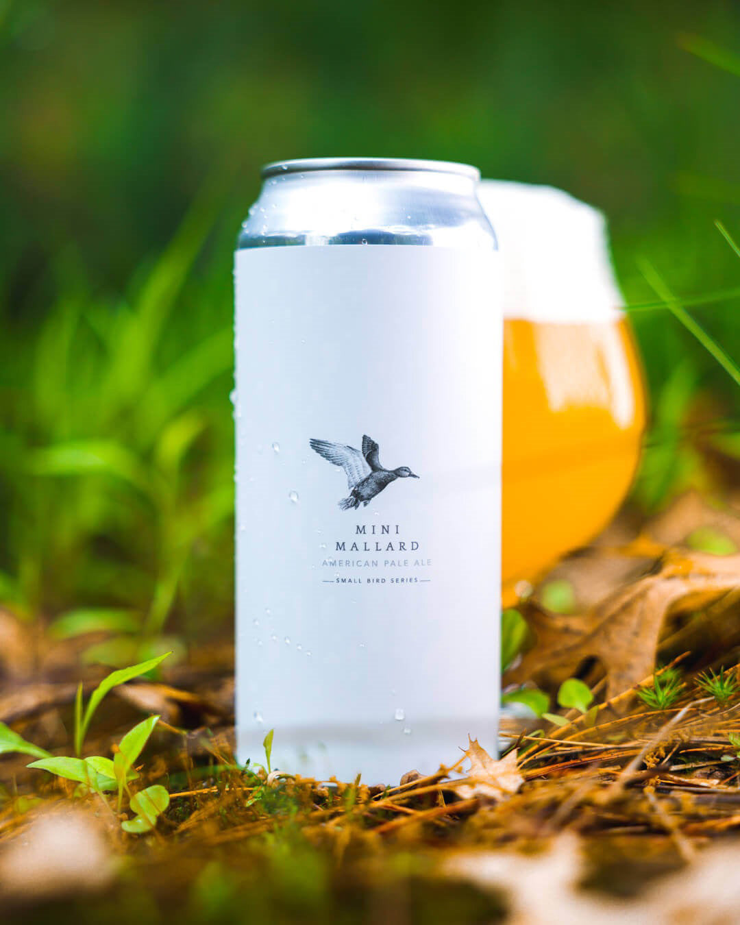 Mini Mallard 4pk Cans