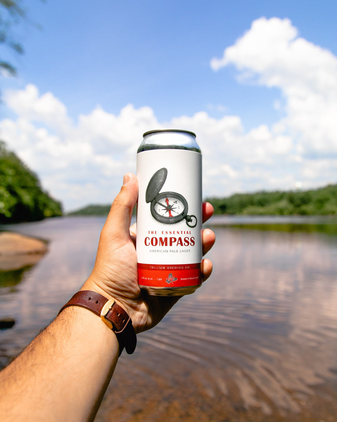 The Essential: Compass 4pk Cans