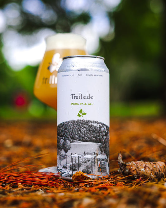 Trailside IPA 4pk Cans