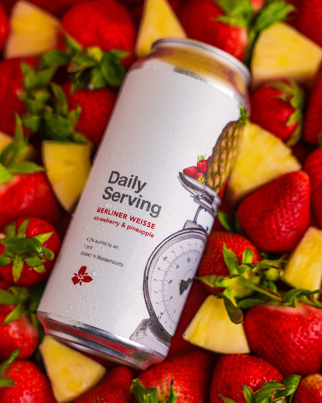 Daily Serving: Strawberry & Pineapple 4pk Cans