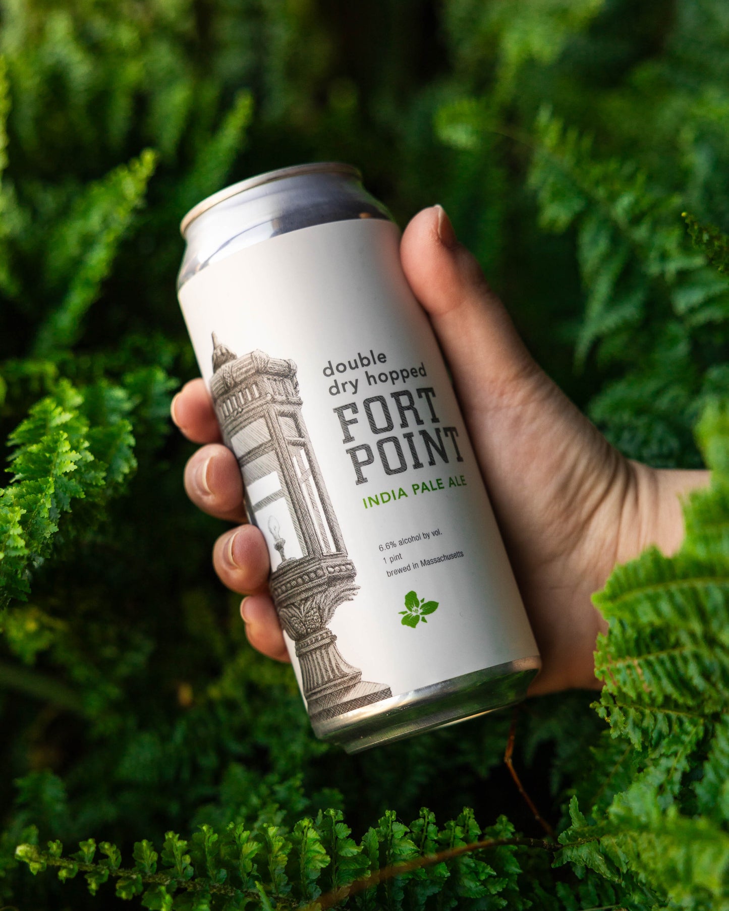 DDH Fort Point 4pk Cans