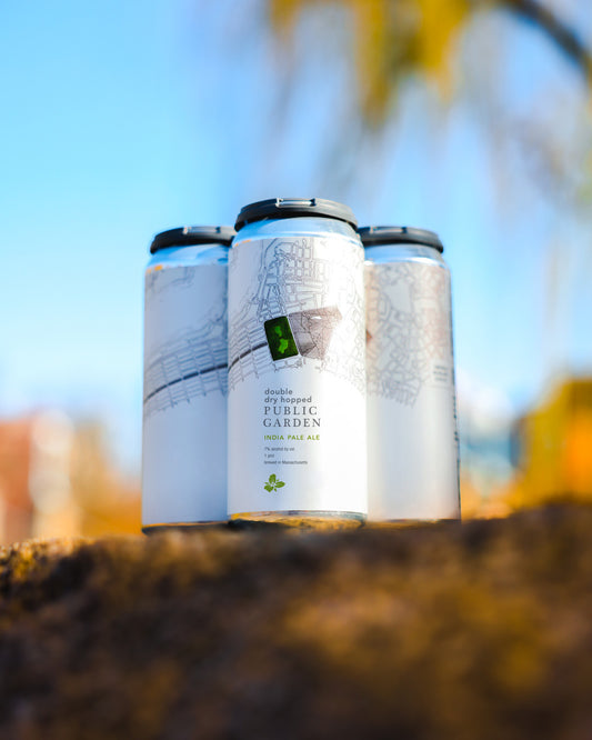DDH Public Garden IPA 4pk Cans