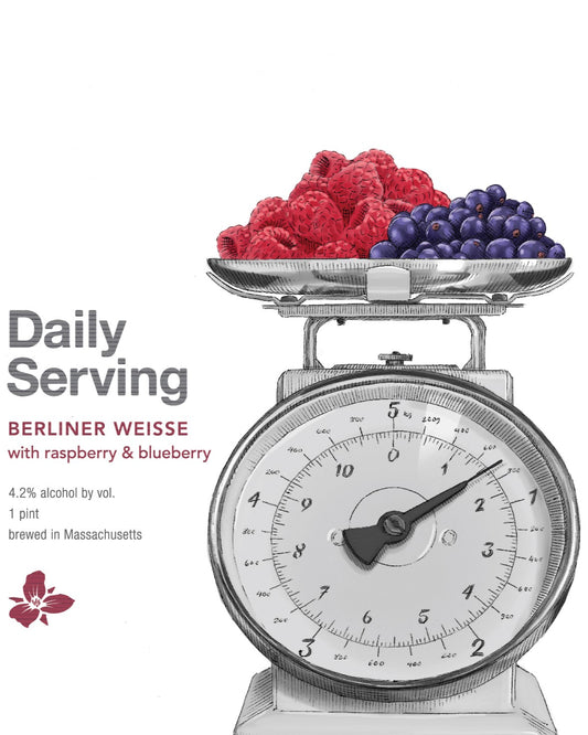 Daily Serving: Raspberry & Blueberry 4pk Cans