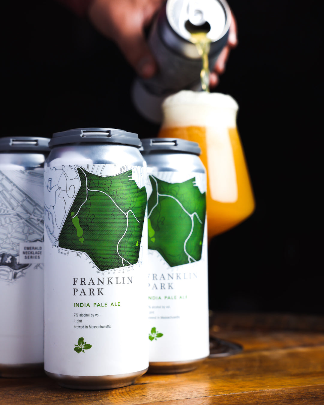 Franklin Park IPA 4pk Cans