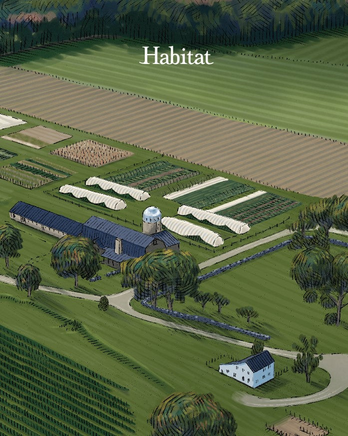 Habitat: 2023 Pinot Noir 500ml