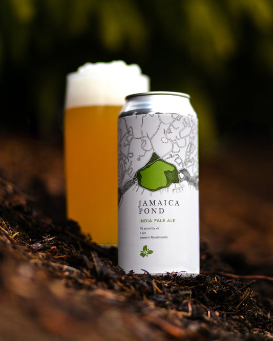 Jamaica Pond IPA 4pk Cans