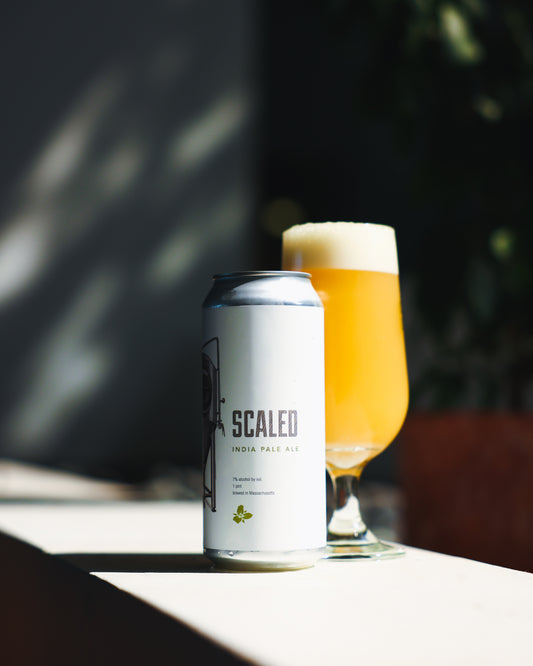 Scaled 4pk Cans