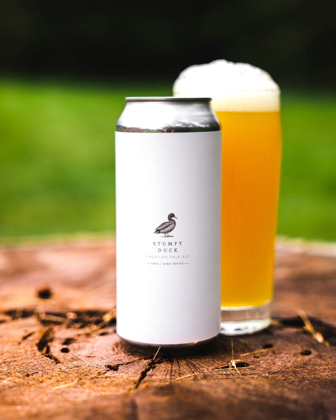 Stumpy Duck 4pk Cans