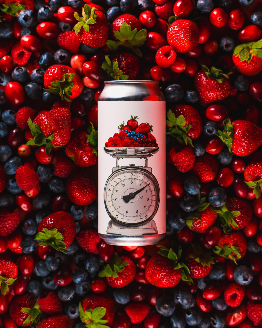 Daily Serving: Raspberry, Strawberry, Blueberry & Cranberry 4pk Cans