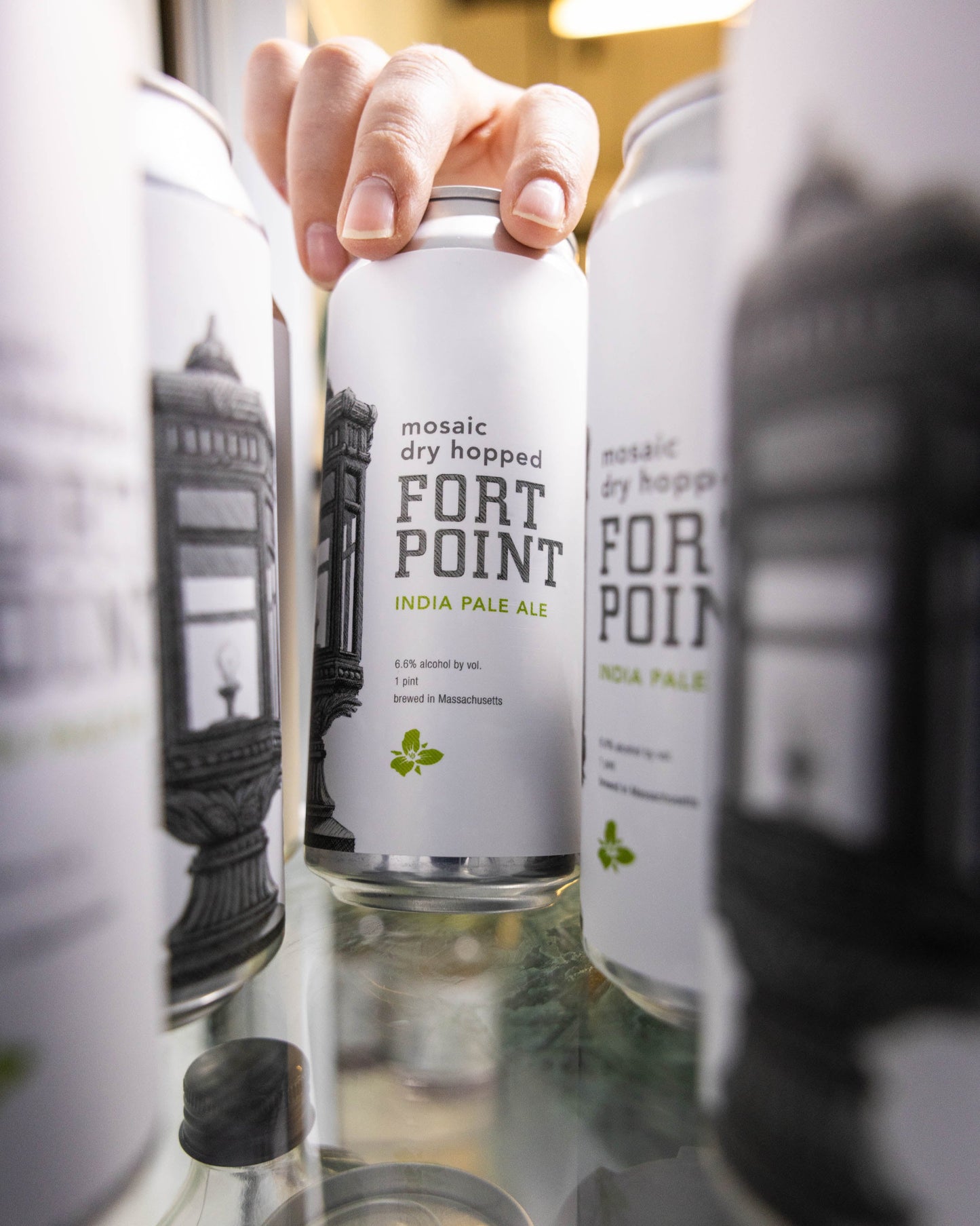 Mosaic Fort Point 4pk Cans