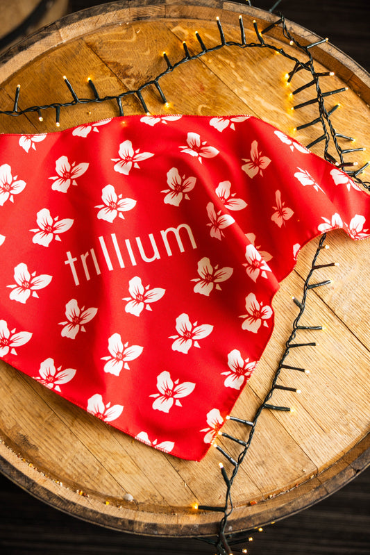 Dog Bandana